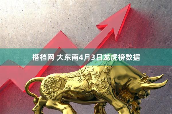 搭档网 大东南4月3日龙虎榜数据