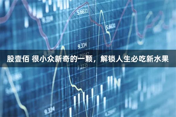 股壹佰 很小众新奇的一颗,解锁人生必吃新水果